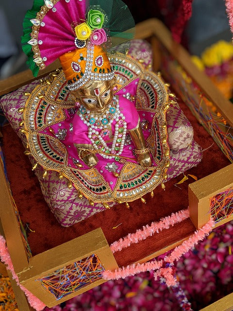 Celebrate Janmashtami 2025 in Toronto & the GTA: Embrace Devotion with Pure Veg Indian Meals from Delish Meals